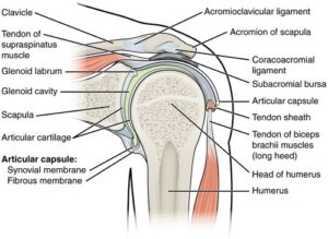 Shoulder Pain Olathe